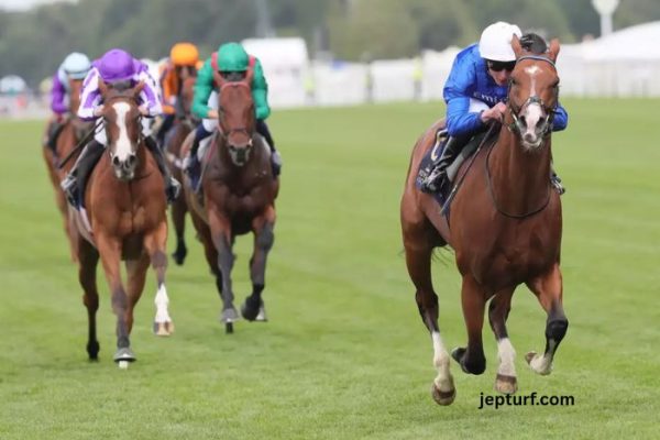 Equidia du Jour – Programme des Courses et Temps Forts Hippiques