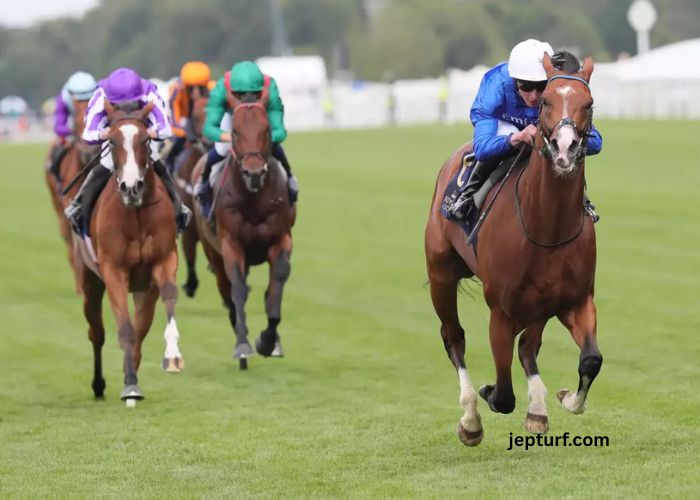 Equidia du Jour – Programme des Courses et Temps Forts Hippiques