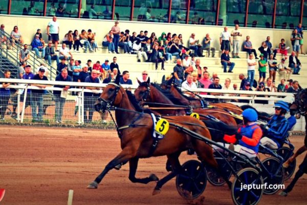 MLM19 Gold - Pronostics PMU, Abonnements & Résultats Réels