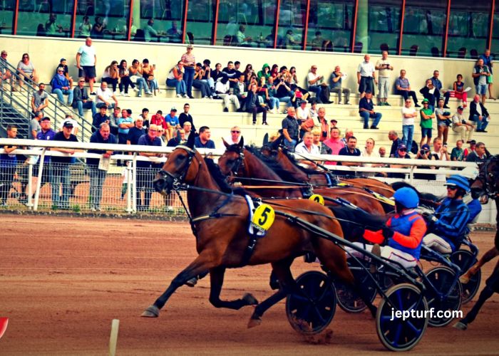 MLM19 Gold - Pronostics PMU, Abonnements & Résultats Réels