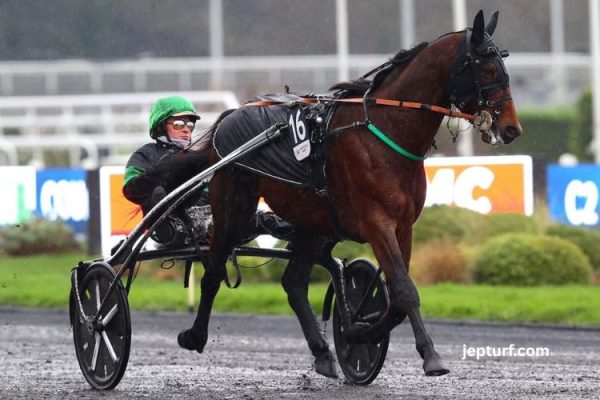 Quintechevalturf - Analyse et Sélections pour le Quinté
